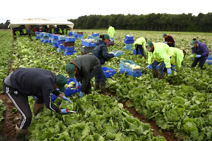 Agriculture & Food Processing